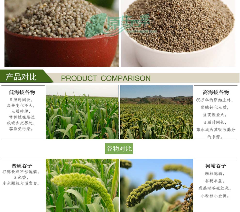 山西河峪小米五谷杂粮农家黑小米地标黑小米乌黑亮发营养米400g
